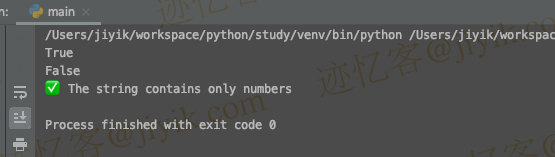 Python 中检查字符串是否仅包含数字bool结果