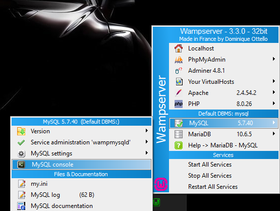 wamp mysql